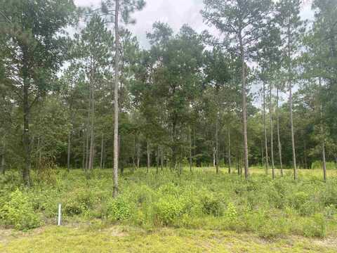 Lot 8 Porch Farm Way, TALLAHASSEE, FL 32309