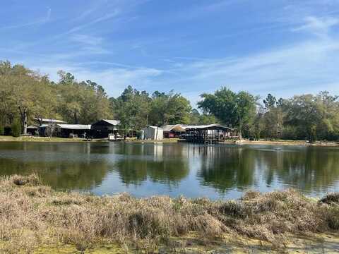 21898 NE Forest Road 103, HOSFORD, FL 32334