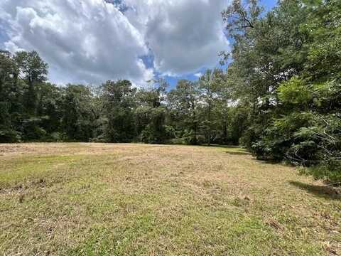 258 W J Hatchett Road, LAMONT, FL 32336