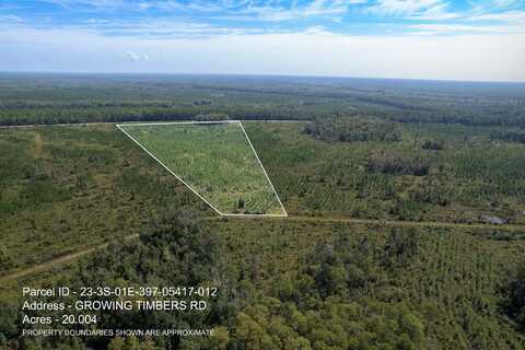 Lot 12 Growing Timbers Road, Crawfordville, FL 32327