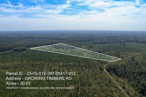 Lot 13 Growing Timbers Road, Crawfordville, FL 32327