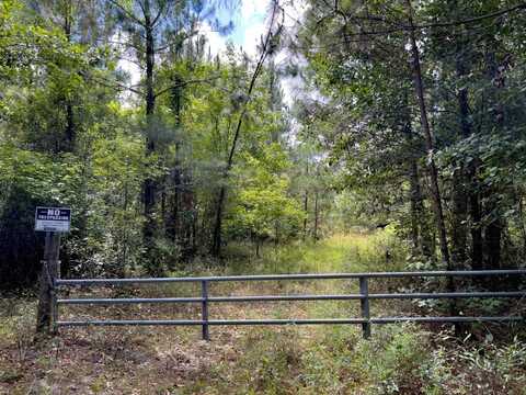 004 Brushy Hammock Road, MAYO, FL 32066