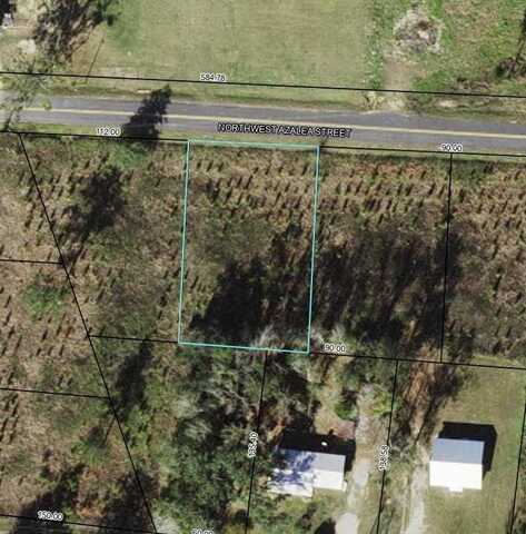 NW Azalea Lot 6 Street, BRISTOL, FL 32321