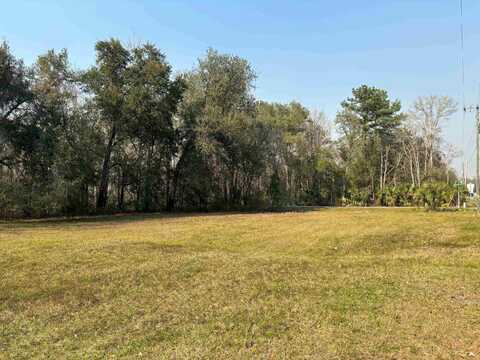 17673 NE State Road 65, HOSFORD, FL 32334