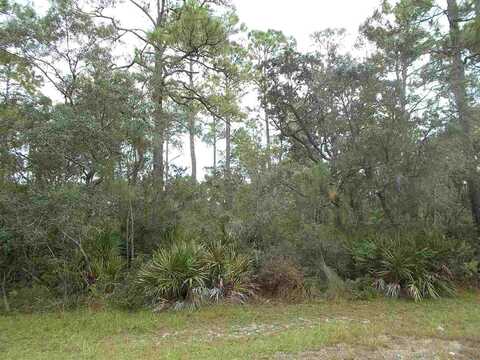 22 Piper Lane, PANACEA, FL 32346