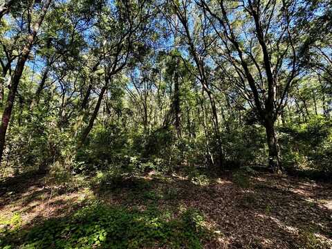 00 NW Little Cat Road, Madison, FL 32340