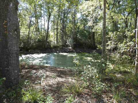 Tbd Namon Spears Road, Crawfordville, FL 32327