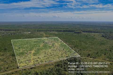 Lot 11 Growing Timbers Road, Crawfordville, FL 32327