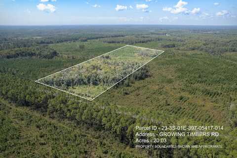 Lot 14 Growing Timbers Road, Crawfordville, FL 32327