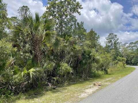 Lot 1 B Seargent Preble, Saint Marks, FL 32355