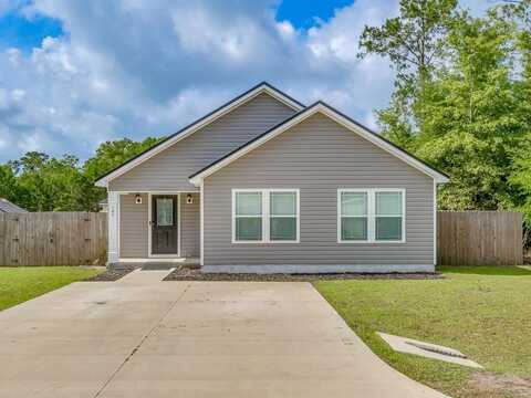 167 John Mills Circle, SOPCHOPPY, FL 32358