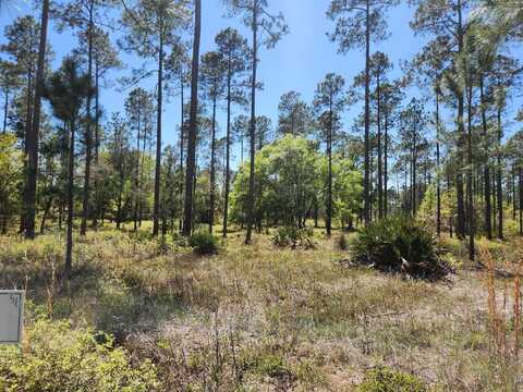 0 Breakaway Gap Road, Tallahassee, FL 32305