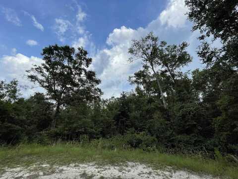 Vacant NE Bush Way, Madison, FL 32340