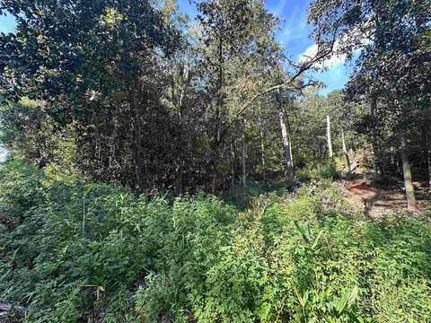 Lot 6 Kant Circle, Quincy, FL 32351