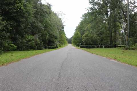 55 W Cavallo Trail, Monticello, FL 32344