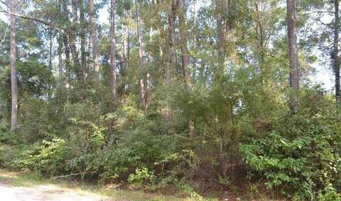 0 Summer Brooke Lane, Crawfordville, FL 32327