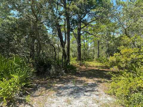 Lot 204 Fernway Road, ALLIGATOR POINT, FL 32346