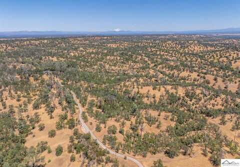 41 Acres Lyn Ellen Drive, Red Bluff, CA 96080