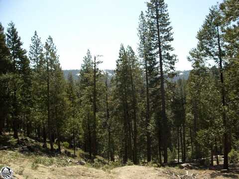 29733 Kerns Drive, Cold Springs, CA 95335