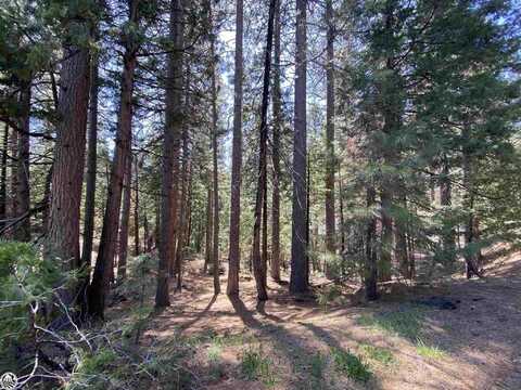 29829 Mariposa, Cold Springs, CA 95335