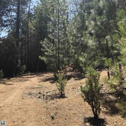 Star Rd, Twain Harte, CA 95383