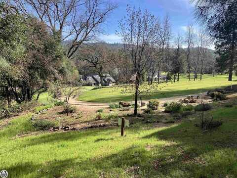 5E/17 Tannahill/Sean Patrick, Groveland, CA 95321