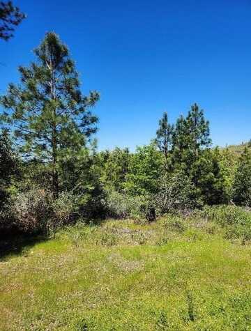 19290 Cherokee Trail, Groveland, CA 95321