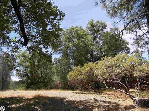 Lot 211A Point View, Groveland, CA 95321