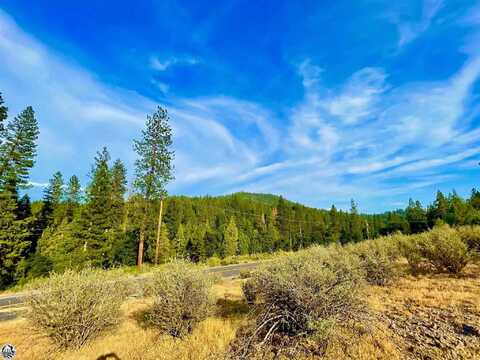 0000 N. Tuolumne Rd, Twain Harte, CA 95383