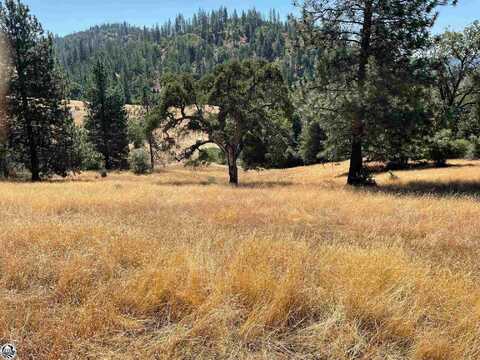 00000 Forrest Rd 1N19, Tuolumne, CA 95379