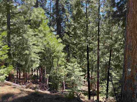 Lot 307 Lassen, Cold Springs, CA 95335