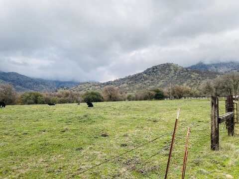 Cow Mountain Road Road, Springville, CA 93265