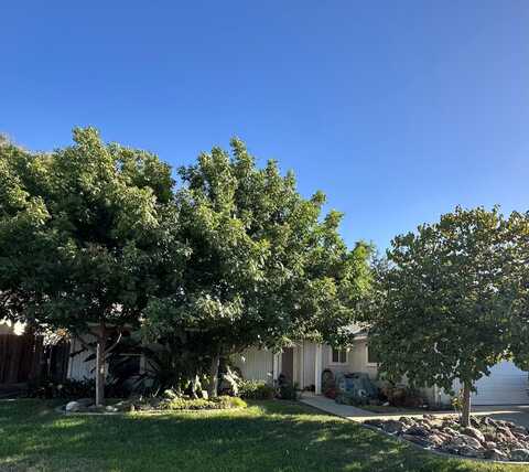 527 W Magnolia Avenue, Hanford, CA 93230