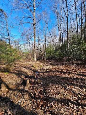 Lot 60 Tbd Jonathan Drive, Lowgap, NC 27024