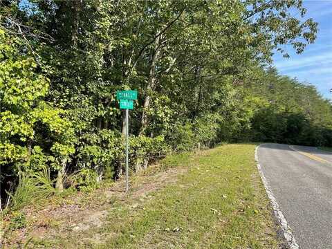 7.99 Acres Mickey Road, Westfield, NC 27053