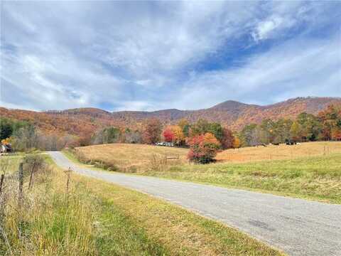 671 Ramey Orchard Road, Lowgap, NC 27024