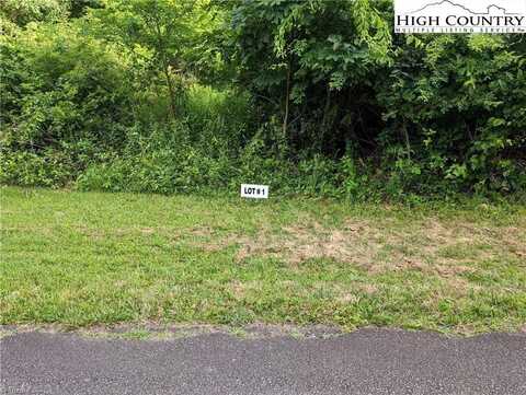 Lot 1 Briarwood Lane, Sparta, NC 28675