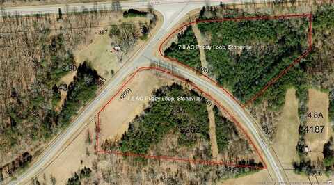 7.8 Ac Priddy Loop, Stoneville, NC 27048