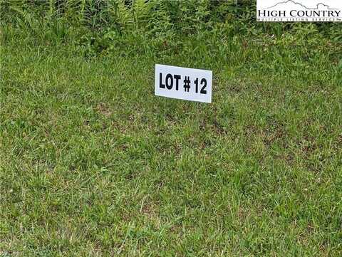 Lot 12 Briarwood Lane, Sparta, NC 28675