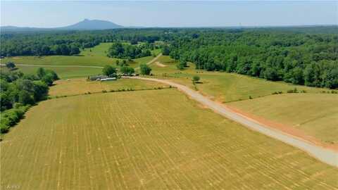 00 Tom Hunter Road, Pilot Mountain, NC 27041