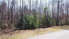 Lot #18 Blue Mountain Drive, Wilkesboro, NC 28697