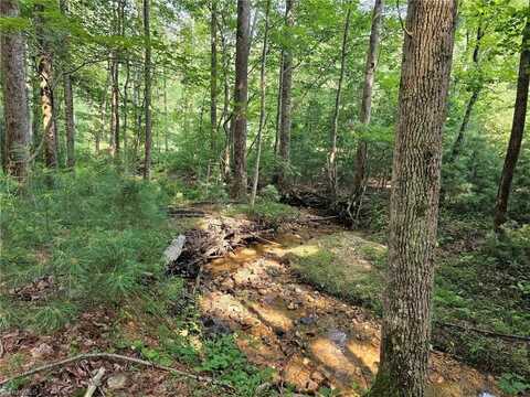 Lot 82 Mcintosh Drive, Lowgap, NC 27024