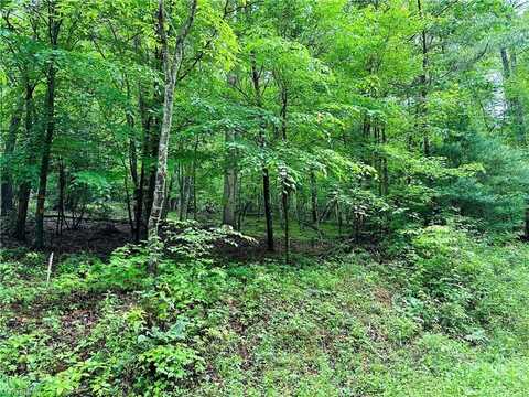 00 W Meadows Road, Moravian Falls, NC 28654