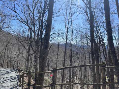 0 Bear Cove Circle, Bryson City, NC 28713