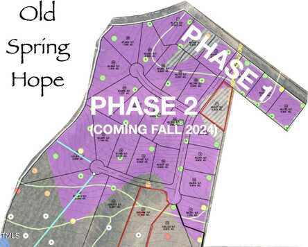 Lot 2 Sheep Pasture Road, Spring Hope, NC 27882