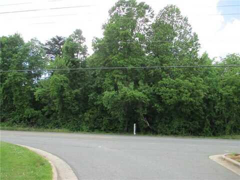 Lot #2 S N Highway 119 Road, Mebane, NC 27302