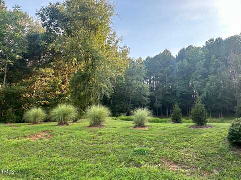 49 Harrison Pond Drive, Pittsboro, NC 27312