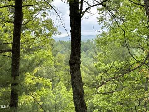 Tbd Blue Rock Road, Purlear, NC 28665