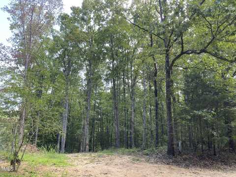 Lot 16 17 Walden Lane, Franklinton, NC 27525