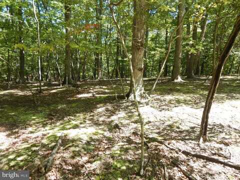 SIDELING MOUNTAIN TRAIL, GREAT CACAPON, WV 25422